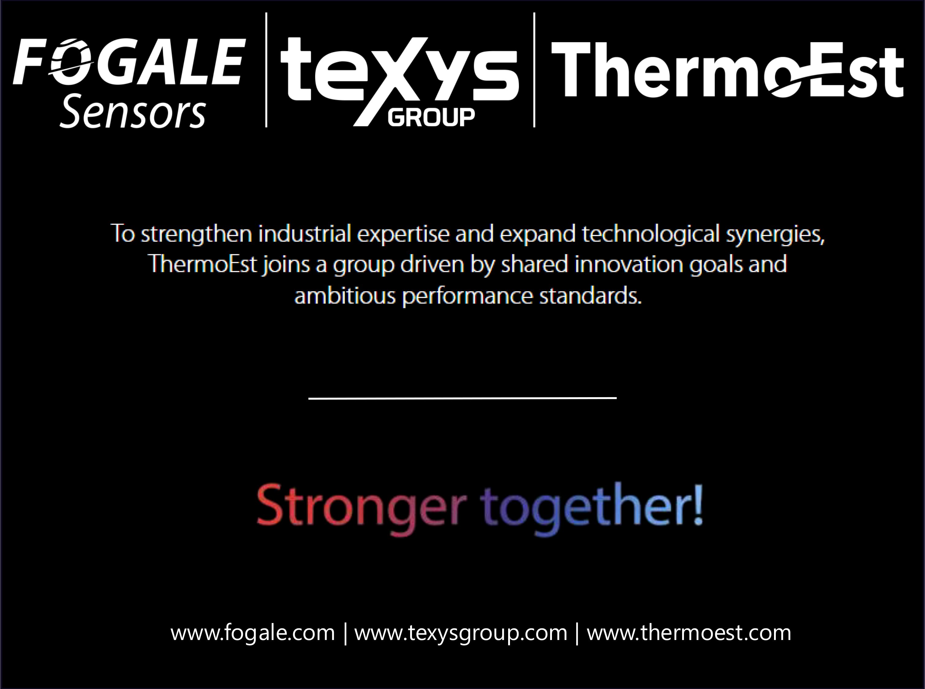 ThermoEst is a new part of our group